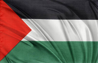 Abstract Photos - Palestine flag by Les Cunliffe