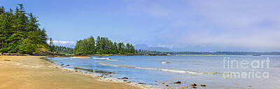 Beach Photos - Panorama of Pacific coast on Vancouver Island by Elena Elisseeva