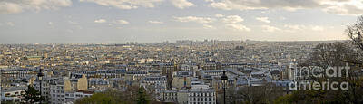 Amy Hamilton Animal Collage - Panorama of Paris from Montmartre 1 by Perry Van Munster