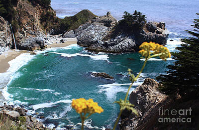 Shark Art Rights Managed Images - Paradise Cove Royalty-Free Image by Steven Baier