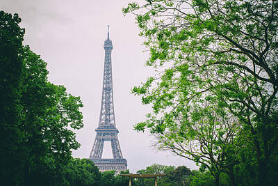 Travel Pics Rights Managed Images - Paris Eiffel Surrounded by Trees Royalty-Free Image by Georgia Clare
