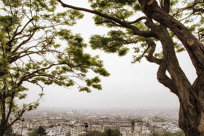 Paris Skyline Royalty-Free and Rights-Managed Images - Paris Through the Springtime Trees by Georgia Clare