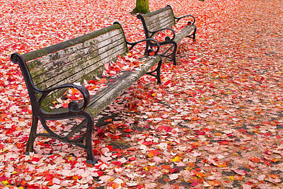 Mother And Child Paintings - Park Benches in the Fall by Jit Lim