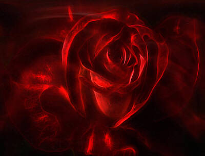 Best Sellers - Roses Digital Art - Passion Rose Bathed In Red - Abstract Realism by Georgiana Romanovna