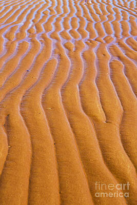 Vintage Tees - Patterns in the Sand at Low Tide by Diane Diederich