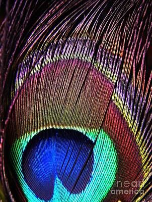 Moody Trees - Peacock Feather Macro by Sarah Loft