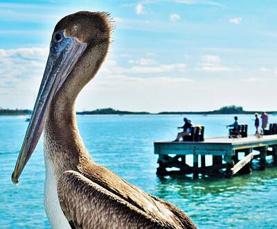 Negative Space Royalty Free Images - Pelican Chilling Royalty-Free Image by Mark Mitchell