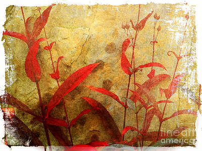 Colorful People Abstract - Penstemon Abstract 7 by Mike Nellums