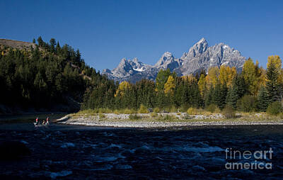 Reptiles Photo Royalty Free Images - Perfect Spot for Fishing with Grand Teton Vista Royalty-Free Image by Karen Lee Ensley