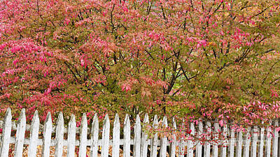 Maps Rights Managed Images - Picket Fence Fall Royalty-Free Image by Alan L Graham