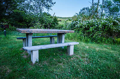 Target Eclectic Global Royalty Free Images - Picnic Table And Grille Royalty-Free Image by Alex Grichenko