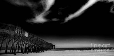 Animal Surreal - Pier In The Infrared by Skip Willits