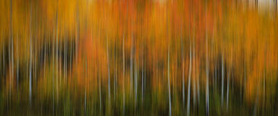 Antlers - Pine Canyon Autumn Impressionistic by TL Mair