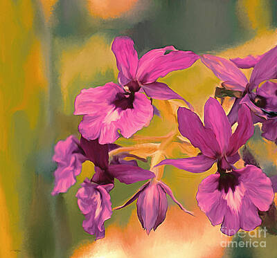 Fromage - Pink Orchidaceae by Ted Guhl