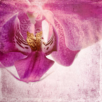 Beach Lifeguard Towers - Pink Orchids 6 by Sabine Jacobs