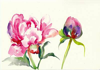 Holiday Cookies - Pink Peony with Bud and Leaf Watercolor by Tiberiu Soos