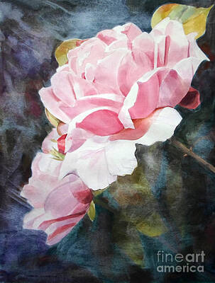 Roses Paintings - Watercolor of Pink Rose Caroline by Greta Corens