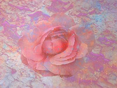 Abstract Flowers Digital Art - Pink Rose by Louis Ferreira