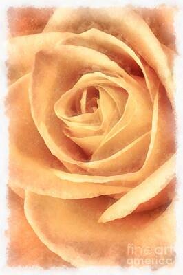 Roses Royalty Free Images - Pink Rose Watercolor Royalty-Free Image by Edward Fielding