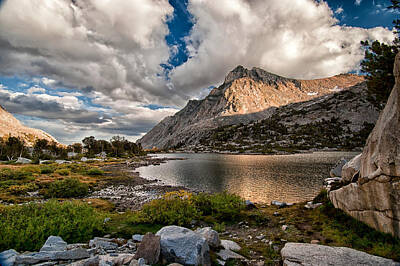 Mammals Royalty-Free and Rights-Managed Images - Piute Lake by Cat Connor