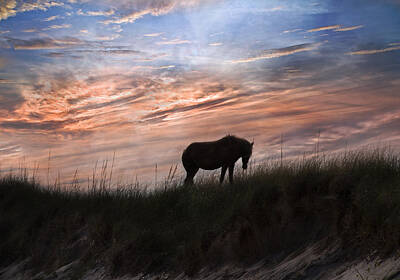 Minimalist Movie Posters 2 - Pony on the Dunes by Betsy Knapp