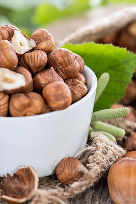 Food And Beverage Royalty-Free and Rights-Managed Images - Portion of Hazelnuts by Handmade Pictures