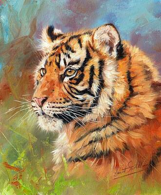 Celebrity Pop Art Potraits Rights Managed Images - Portrait of a Young Amur Tiger Royalty-Free Image by David Stribbling