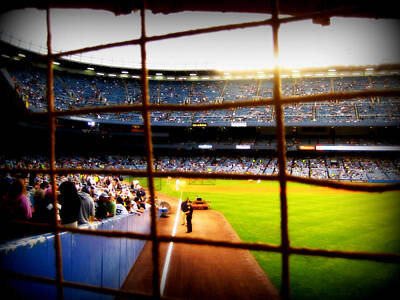 Baseball Royalty-Free and Rights-Managed Images - POV Right Field Foul Pole Original Yankee Stadium by Aurelio Zucco
