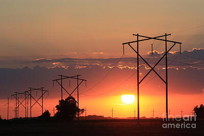 Staff Picks Cortney Herron - Power Lines Sunset UP CLOSE by Robert D  Brozek