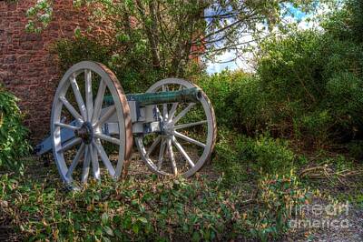 Lime Art - Powis Castle Cannon by MSVRVisual Rawshutterbug