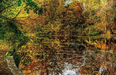 Poolside Paradise Rights Managed Images - Prospect Park Splendor Royalty-Free Image by Jeff Watts