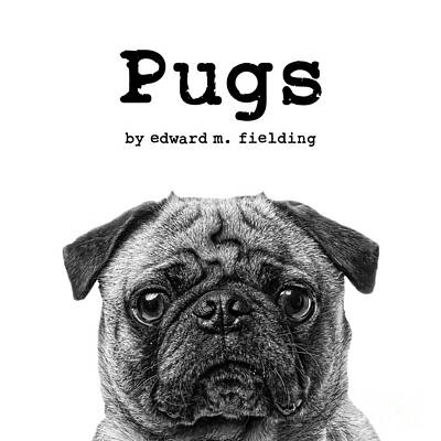 Door Locks And Handles Rights Managed Images - Pugs by Edward Fielding Royalty-Free Image by Edward Fielding