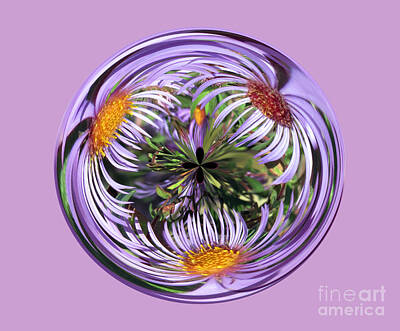 Abstract Flowers Photos - Purple Aster flower Orb Abstract by Darleen Stry
