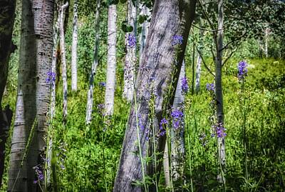 Frog Art - Purple Flowers in the Forest by Mitch Johanson