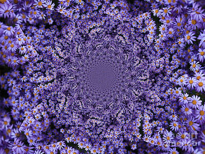 Stocktrek Images - Purple Flowers Kaleidoscope by Carol Groenen