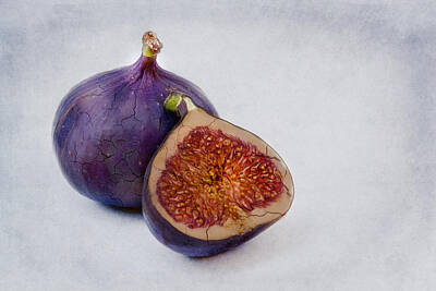 Modern Sophistication Charcoal Figure Drawings - Purple Fruits by Claudia Moeckel