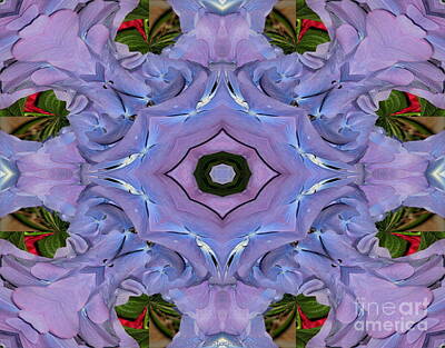 Abstract Flowers Photos - Purple Hydrangea Flower Abstract by Rose Santuci-Sofranko