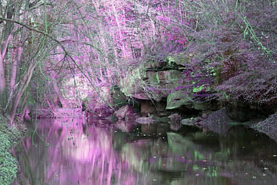 Roses Photos - Purple Rock Reflection by Lorna Rose Marie Mills DBA  Lorna Rogers Photography