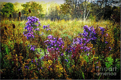 Watercolor City Skylines - Purple splendor by Robert Gardner