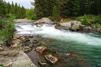 Birds Royalty-Free and Rights-Managed Images - Quaint stream in the Beartooth mountains  by Jeff Swan