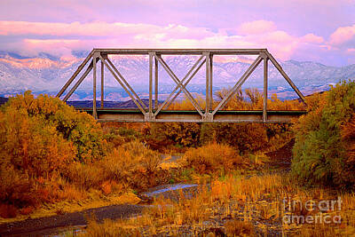Rustic Cabin - Railroad Truss Bridge New Mexico by Wernher Krutein