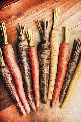 Still Life Digital Art - Rainbow carrots. Vintage cooking illustration  by Jorgo Photography