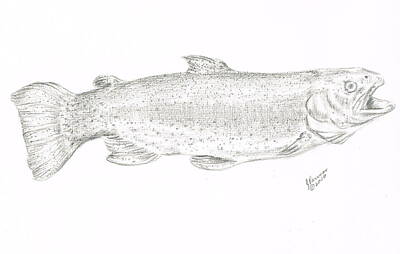 Wild Horse Paintings - Rainbow Trout by Joann Renner