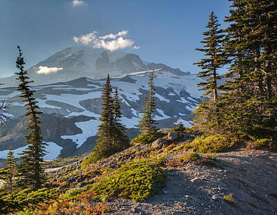 Andy Fisher Test Collection - Rainier From Paradise Glacier by Mike Reid