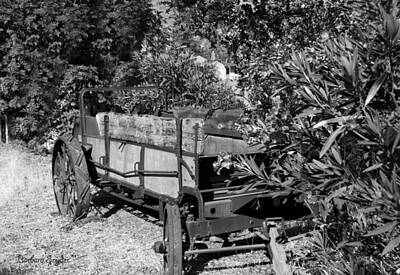 Anne Geddes Florals - Ranch Wagon Cross Over by Barbara Snyder