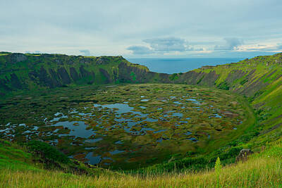 Red Foxes - Rano Kau Kau Crater by Kent Nancollas