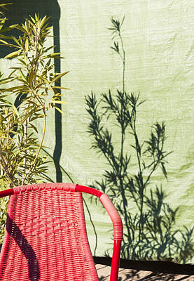 Fromage - Red and green - chair wall and shadow of a plant by Matthias Hauser