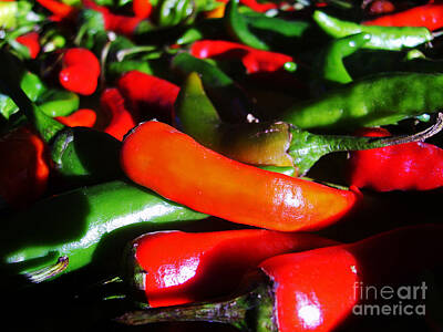 Camels - Red And Green Peppers by Nina Ficur Feenan