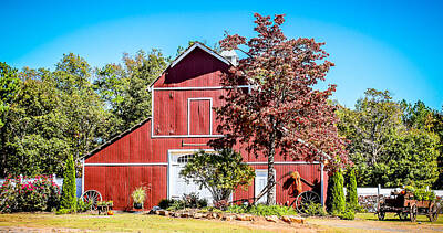 Tracy Brock Royalty-Free and Rights-Managed Images - Red Barn by Tracy Brock