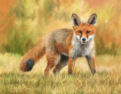 Mammals Paintings - Red Fox by David Stribbling
